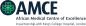 The African Medical Centre of Excellence (AMCE)