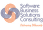 Software Business Solutions Consulting